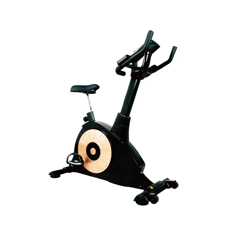 豪华磁控健身车 61106 (JL-680707)