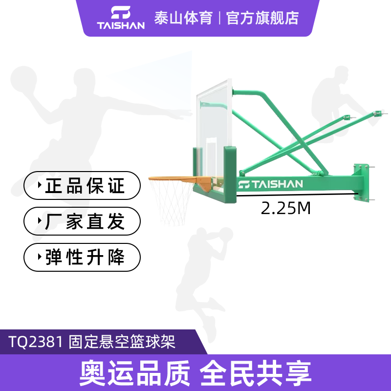 固定悬壁篮球架TQ2381